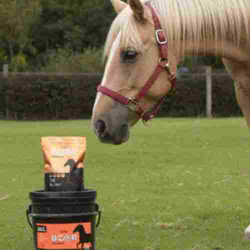 Testimonios reales de clientes B-GOR - Suplemento equino de calidad